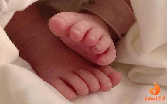 青海供卵自怀发育慢_【广州供卵机构包男孩】31周顺产女宝宝